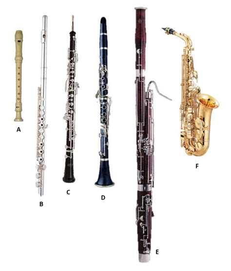 Study: Instruments part 1