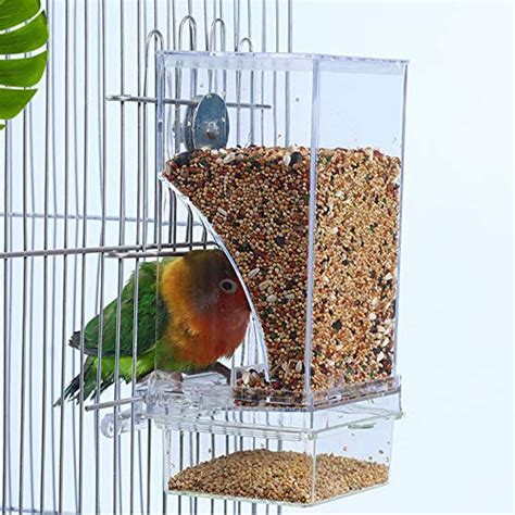 Best Bird Cage Feeder For A Mess-Free Home