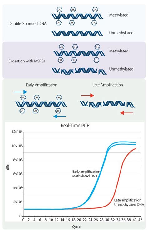 DNA methylation analysis—keeping it simple