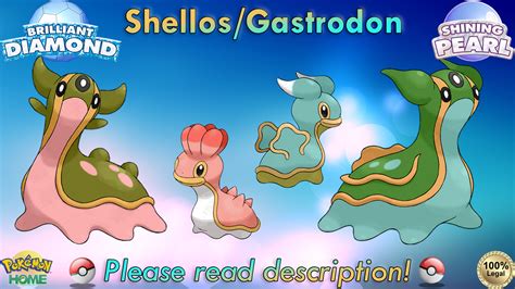 Shiny Gastrodon