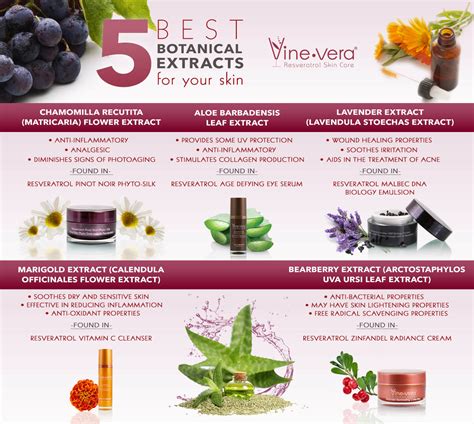 Botanical Skin Care Ingredients | Vine Vera Blog