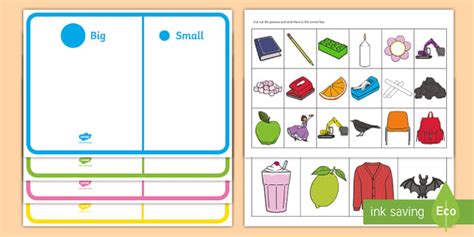 Colour and Size Sorting Activity (Teacher-Made) - Twinkl