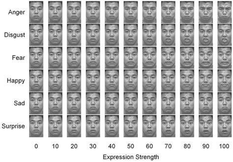 Paul ekman facial action coding system - javaqlero