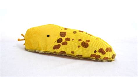 Banana Slug Plushie Banana Slug Soft Toy Cuddly Toy Slug - Etsy