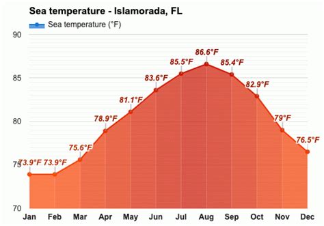 January Weather forecast - Winter forecast - Islamorada, FL