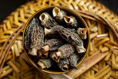 12 Dried Morel Mushrooms Recipe Ideas | Spice Gourmand