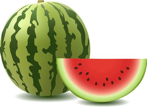 Watermelon Png Image Transparent HQ PNG Download | FreePNGImg