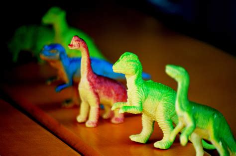 Toy Dinosaurs Free Stock Photo - Public Domain Pictures