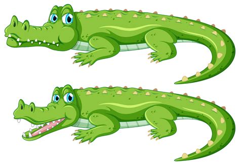 Cartoon Crocodile Face