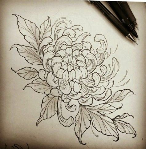 Chrysanthemum | Chrysanthemum tattoo, Japanese flower tattoo, Flower ...