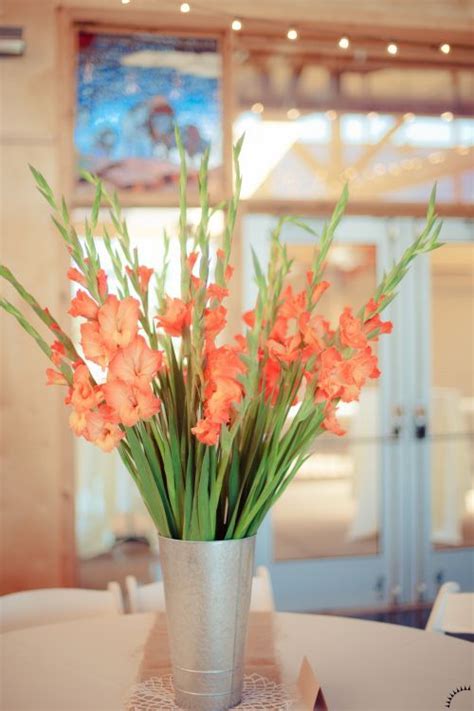 Welcome | Gladiolus arrangements, Gladiolus wedding, Gladiolus flower