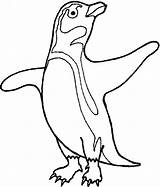 Free Cartoon Penguin Coloring Pages Download  sketch template