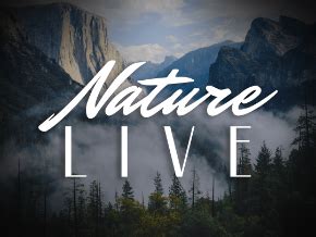 Nature Live - Screensavers | TV App | Roku Channel Store | Roku