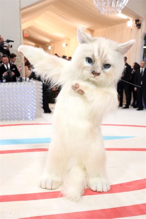 Met Gala 2023 Tributes to Karl Lagerfeld's Cat Choupette | POPSUGAR Fashion