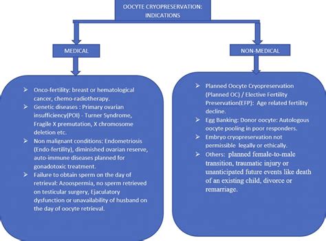 Indications of oocyte cryopreservation | Download Scientific Diagram