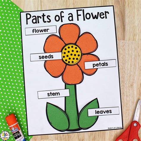 Parts of a Flower Craft: Science Craft for Kids