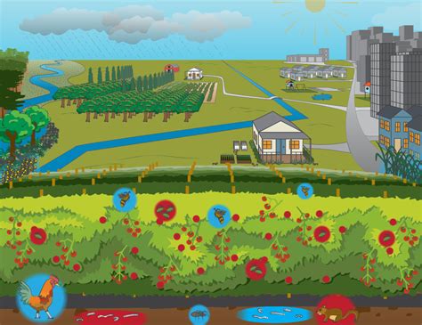 The Agroecosystems Concept · Introducing Agroecology