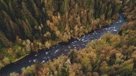 What Is The Mississippi River Drainage Basin - Aboutriver.com