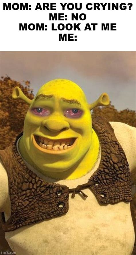 Smiling Shrek - Imgflip