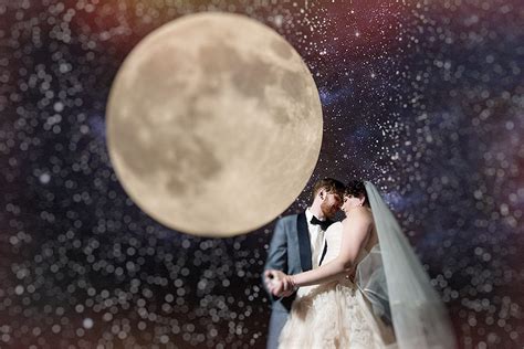 Planetarium Wedding | Michigan Science Center Planetarium Wedding ...