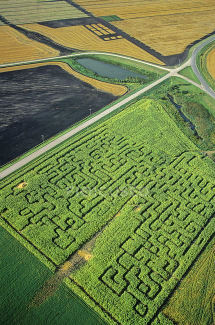 Aerial view of green corn maze of Manitoba, Canada. — agriculture, vertical - Stock Photo ...