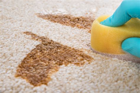 6 Useful Carpet Stain Removal Tips - Singapore Carpet Cleaning Pte Ltd™