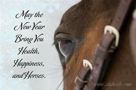 Happy New Year! | Horse quotes, Inspirational quotes, All about horses