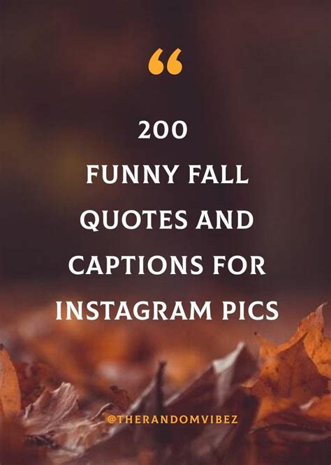 200 Funny Fall Quotes And Captions For Instagram Pics [2022] | Funny fall quotes, Autumn quotes ...