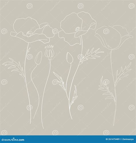 Beautiful Vector Clip Art Poppy Flower Stock Illustration. Stock Vector - Illustration of card ...