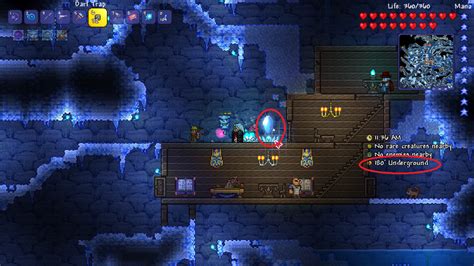 PC - Underground Snow Biome | Terraria Community Forums