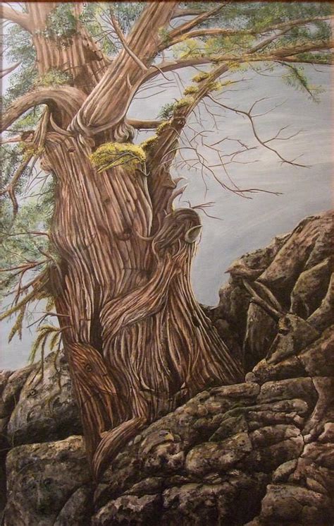 Hidden Art Juniper by Cindy Wright | Hidden art, Optical illusions art, Illusion art