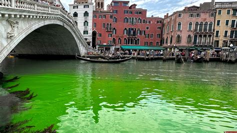 Venice police investigating bright green liquid in Grand Canal | World News | Sky News