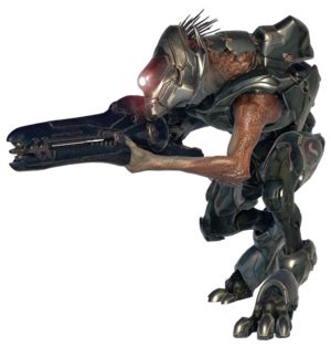 Kig-Yar Sniper - Halopedia, the Halo wiki