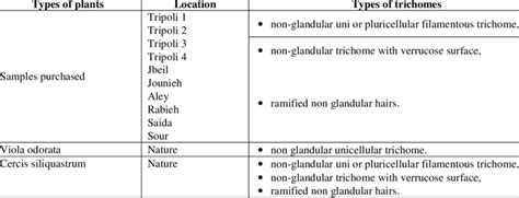 The different types of trichomes | Download Table