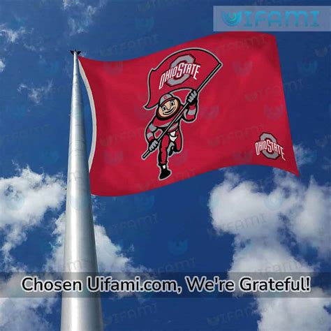 Ohio State Buckeyes Flag 3x5 Unexpected Mascot Gift - Personalized ...