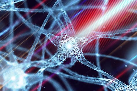 Using light to manipulate neuron excitability | MIT News ...