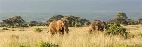 Best Durban Tours Available from Southern Circle | Southern Circle Tours & Safaris