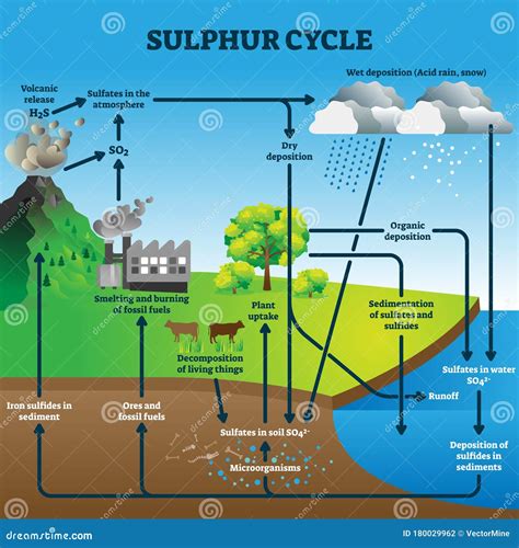 Sulphur Cycle Vector Illustration. Labeled Geological Earth Elements Scheme | CartoonDealer.com ...