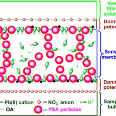 (PDF) A review on detection of heavy metal ions in water – An electrochemical approach