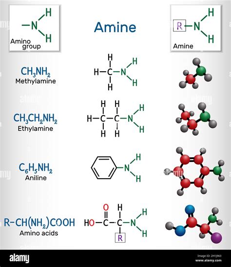 Methylamine, ethylamine, aniline, amino acids molecules. Amines contain ...