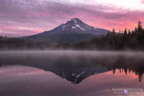 Mt Hood Sunrise Trillium Lake