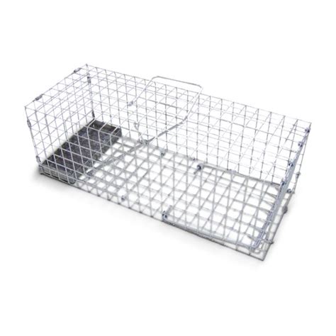 Rat Cage Trap - Humanely Catch Rats - 1env Solutions