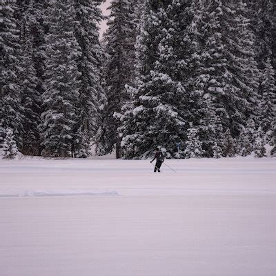 Cross-Country Ski at the Solitude Nordic Center , Solitude Nordic Center