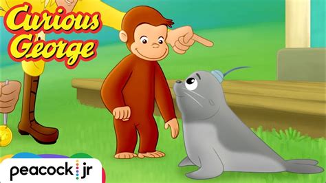 Everything You Need to Know About Curious George: Cape Ahoy Movie (2021)