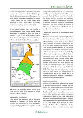 Diversity and distribution of antlions (Neuroptera: Myrmeleontidae) in ...