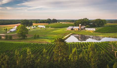 Virginia Wine Trails - Virginia Is For Lovers