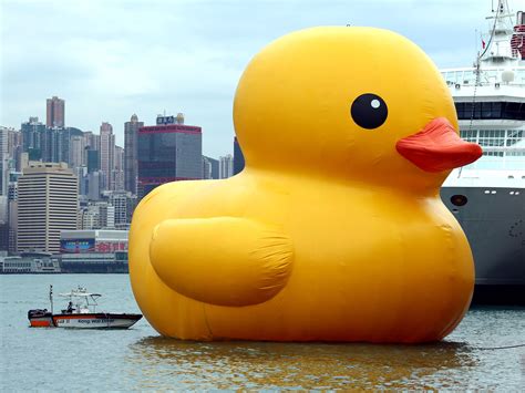 Rubber duck, Duck, Rubber ducky