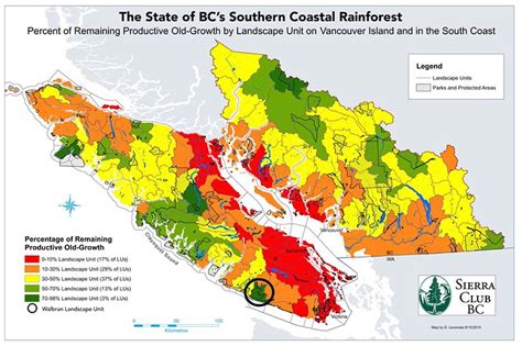 Why Vancouver Island’s Walbran Valley Rainforest Matters – Vancouver ...