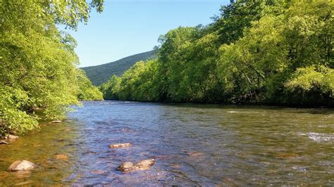 Sick Days Fishing: June 27, 2017 – A Lehigh River Tour with the Consummate Tom C.