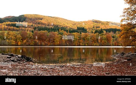 Autumn colours Loch Faskally Pitlochry Scotland Stock Photo - Alamy